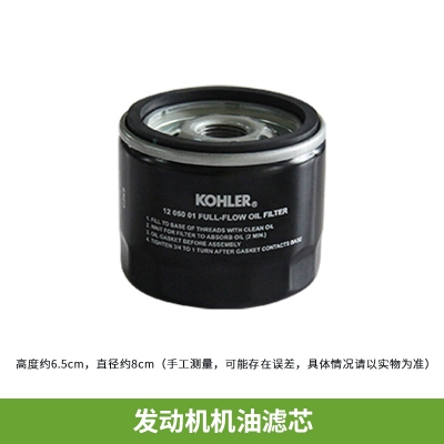 QFNL 科勒 沃得T2542N草坪車(chē)原裝進(jìn)口配件發(fā)動(dòng)機濾芯