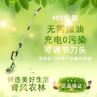 QFNL 格力博 40V鋰電電動(dòng)高枝鋸 加長(cháng)桿鏈鋸伐木樹(shù)枝切割鋸（裸機）