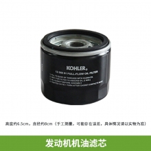 QFNL 科勒 沃得T2542N草坪車(chē)原裝進(jìn)口配件發(fā)動(dòng)機濾芯