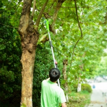 QFNL 格力博 40V鋰電電動(dòng)高枝鋸 加長(cháng)桿鏈鋸伐木樹(shù)枝切割鋸（裸機）