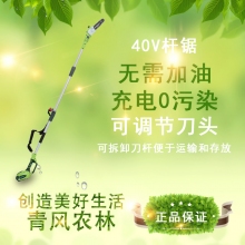 QFNL 格力博 40V鋰電電動(dòng)高枝鋸 加長(cháng)桿鏈鋸伐木樹(shù)枝切割鋸（裸機）