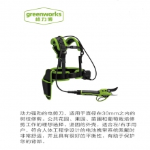 QFNL 格力博 40V電動(dòng)修枝剪充電式粗枝剪家用園林果樹(shù)剪（一電一充）