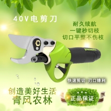 QFNL 格力博 40V電動(dòng)修枝剪充電式粗枝剪家用園林果樹(shù)剪（一電一充）