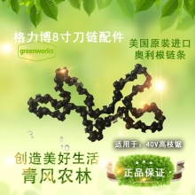 QFNL 奧力根 格力博40V高枝鋸鏈條