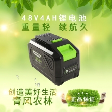 QFNL 格力博 24V48V 4AH 雙壓電池包
