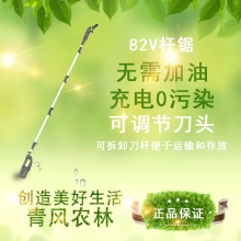 QFNL 格力博 無(wú)刷高枝鋸 鋰電 樹(shù)枝鋸園林果樹(shù)鋸 鏈條鋸（—電一充）