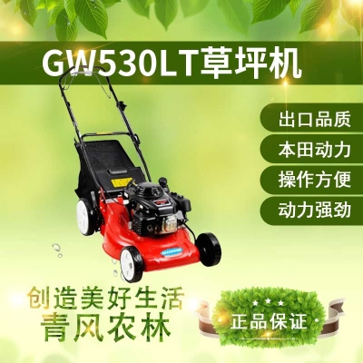 QFNL GW5307PH草坪機21寸（手推 本田發(fā)動(dòng)機）草坪機 剪草機 打草機 除草機 推草機 修剪機械