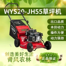 QFNL WORLD 沃得 WYS20-JH55草坪機20寸（手推 本田發(fā)動(dòng)機）草坪機 剪草機 打草機 除草機 推草機 修剪機械