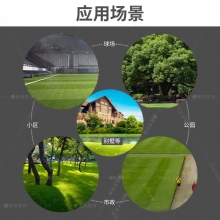 QFNL GW216SH草坪機21寸（自走 本田發(fā)動(dòng)機）草坪機 剪草機 打草機 除草機 推草機 修剪機械