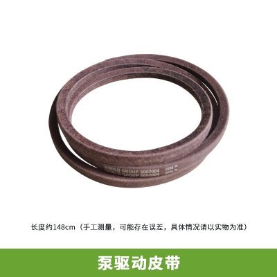 GREENWIND 皮帶 QX008