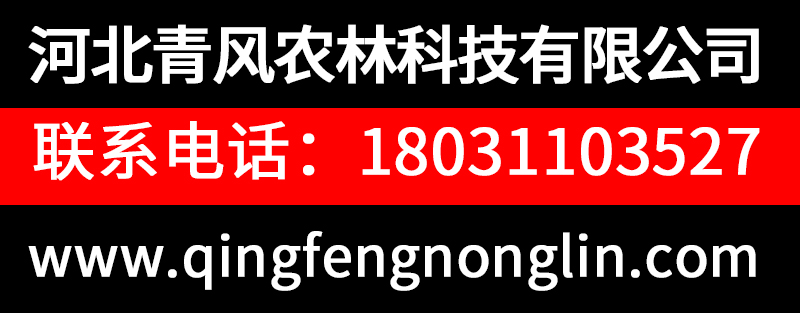 網(wǎng)上商城廣告.jpg
