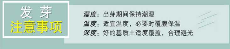 QQ截圖20210930101219.png