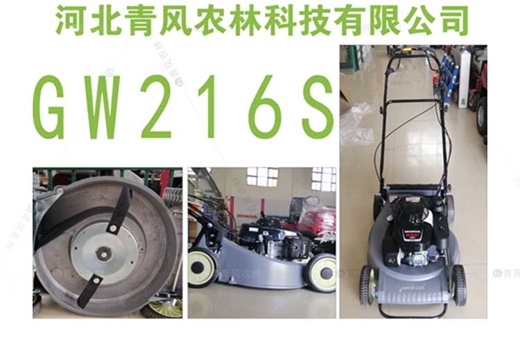 GW216SH_04.jpg